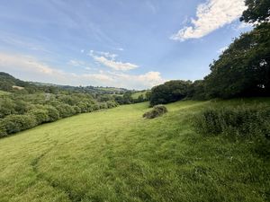  Trewidland